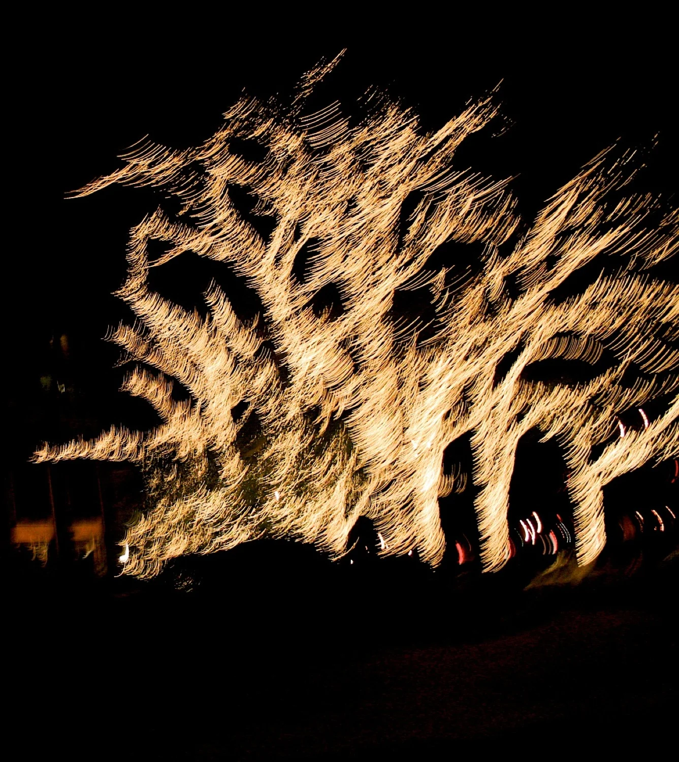 Fire tree.jpg