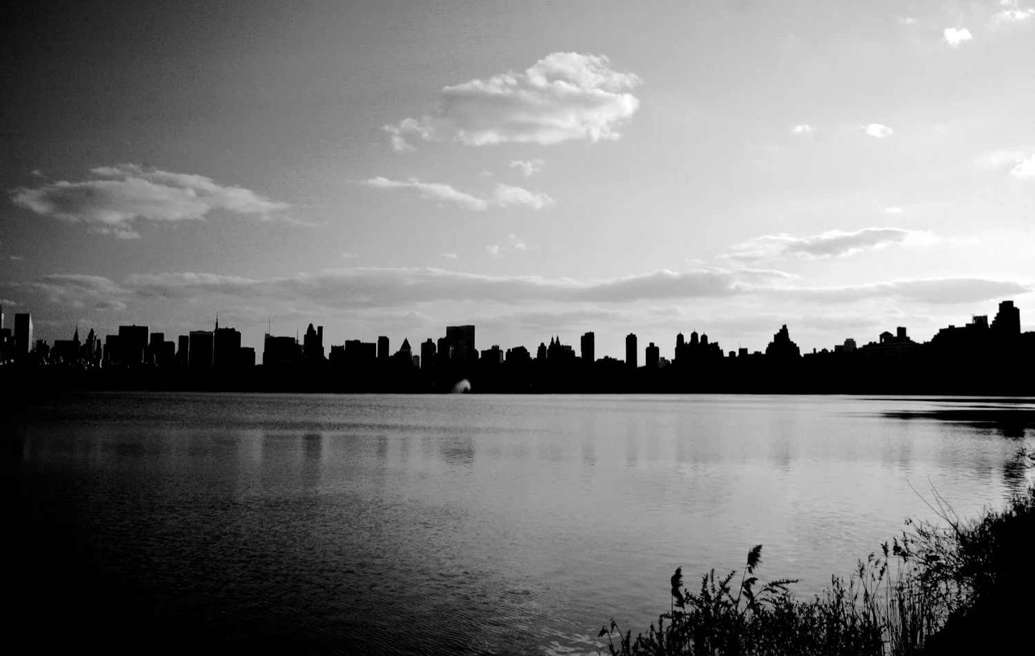 Reservoir Skyline.jpg