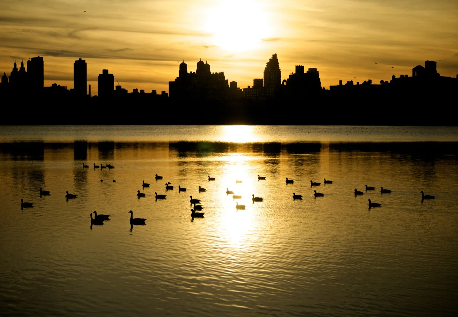Reservoir.jpg