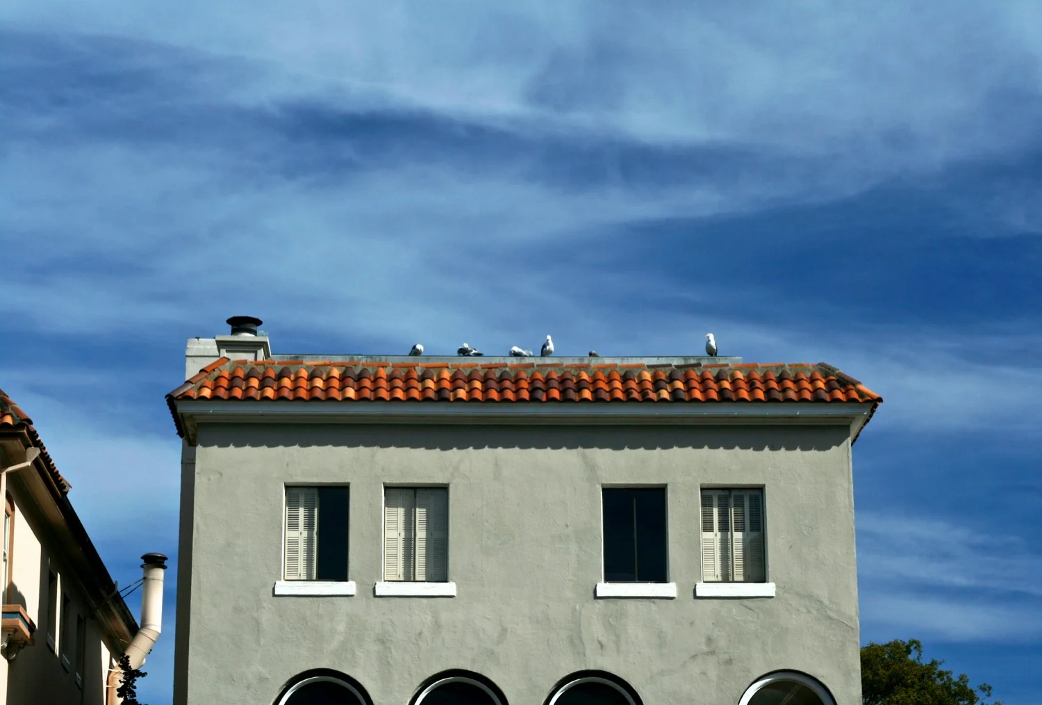 Roof.jpg