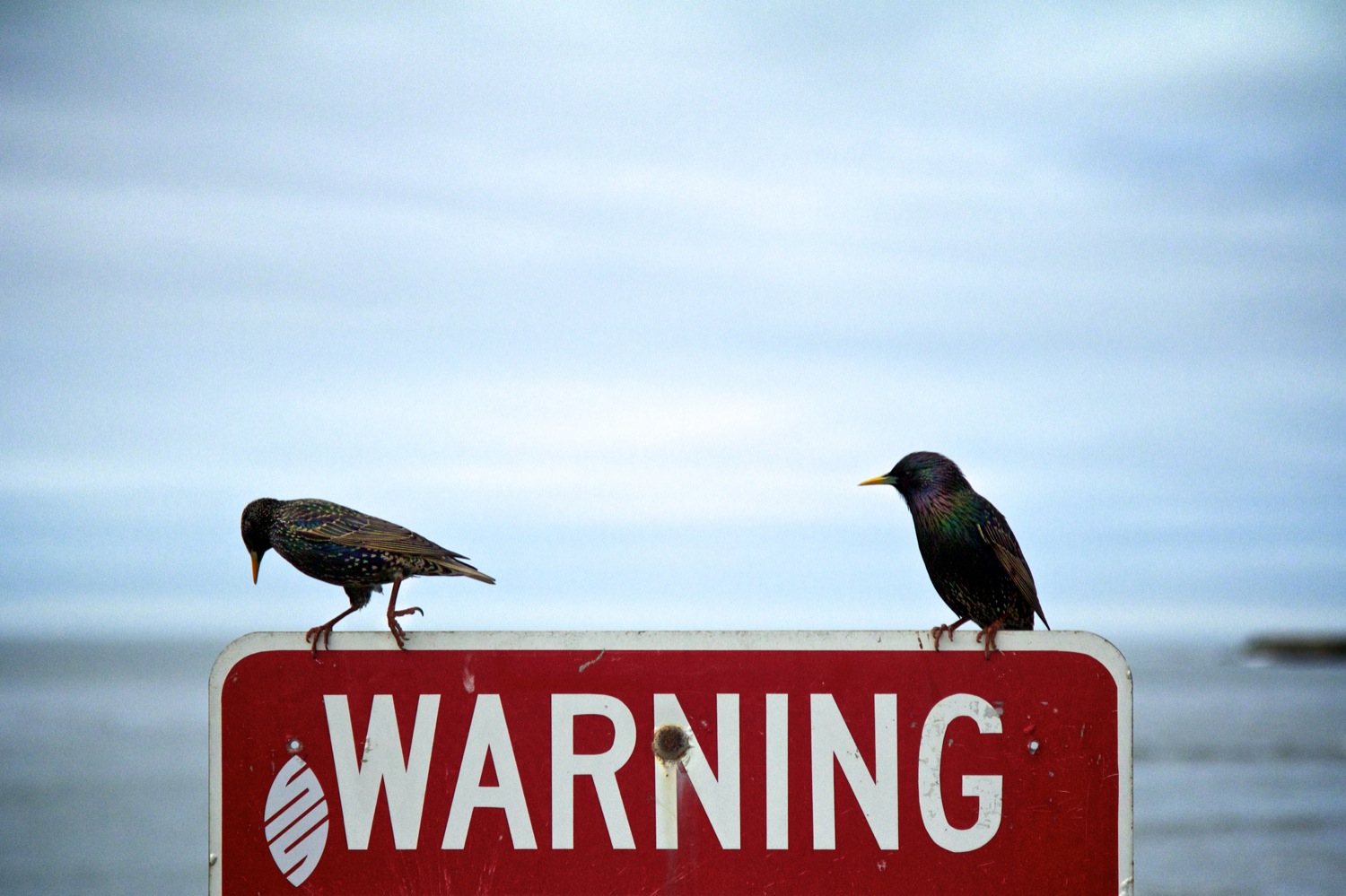 Warning.jpg
