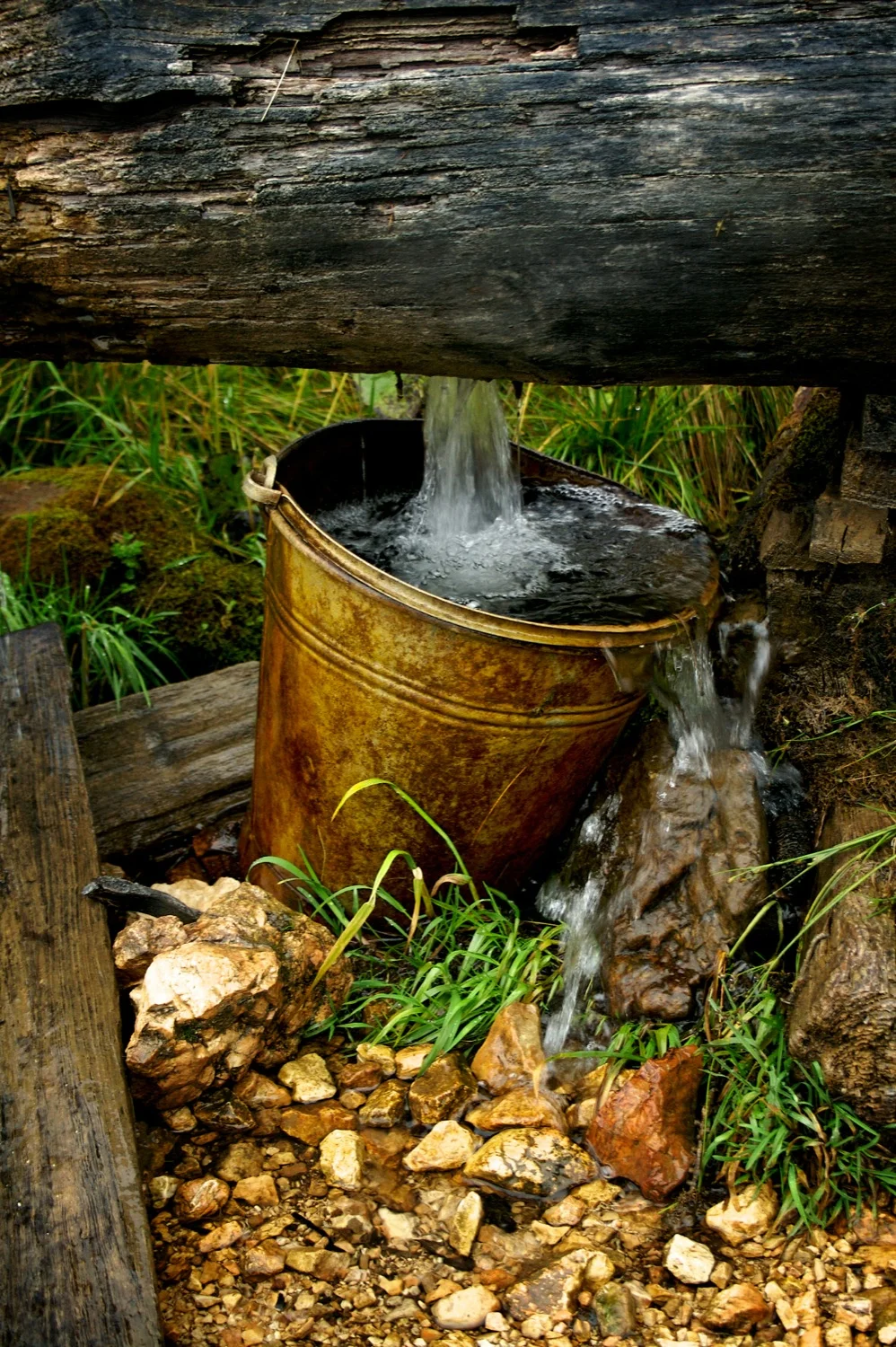Bucket.jpg
