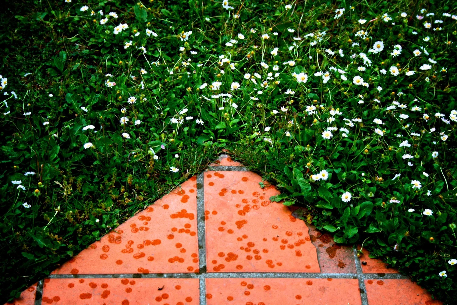 Contrast angle.jpg