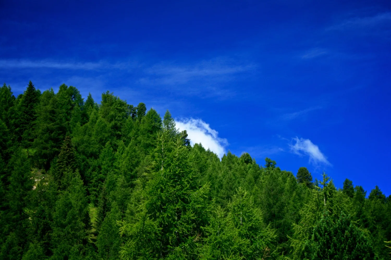 Cloud hidden.jpg