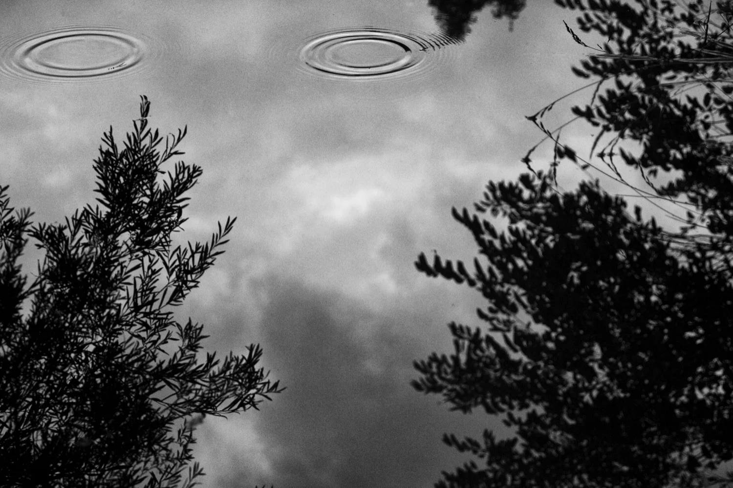 Drops in the sky.jpg