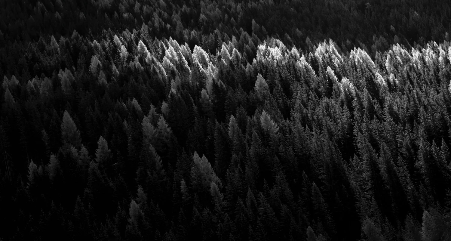 DSCF0182.jpg