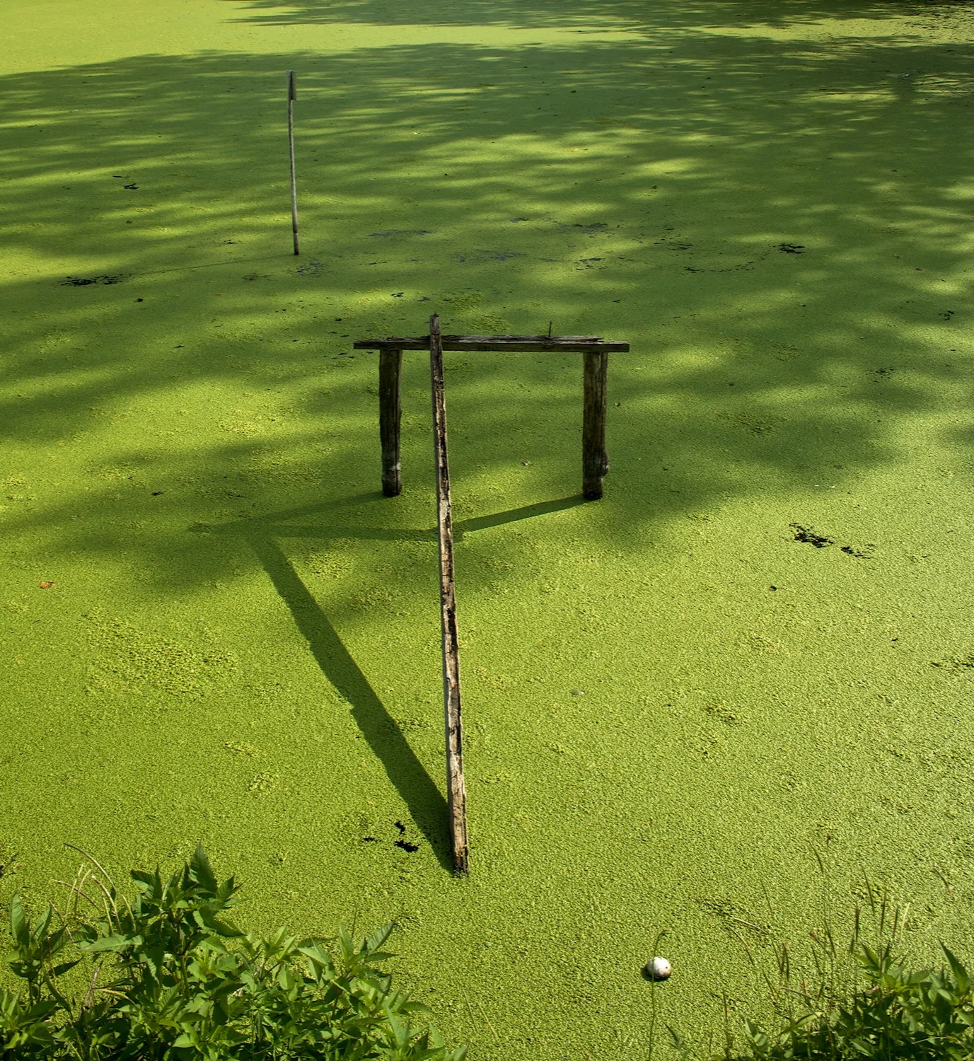 Green lake.jpg