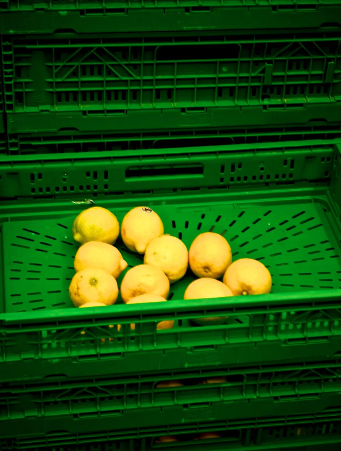 Lime in the green box.jpg