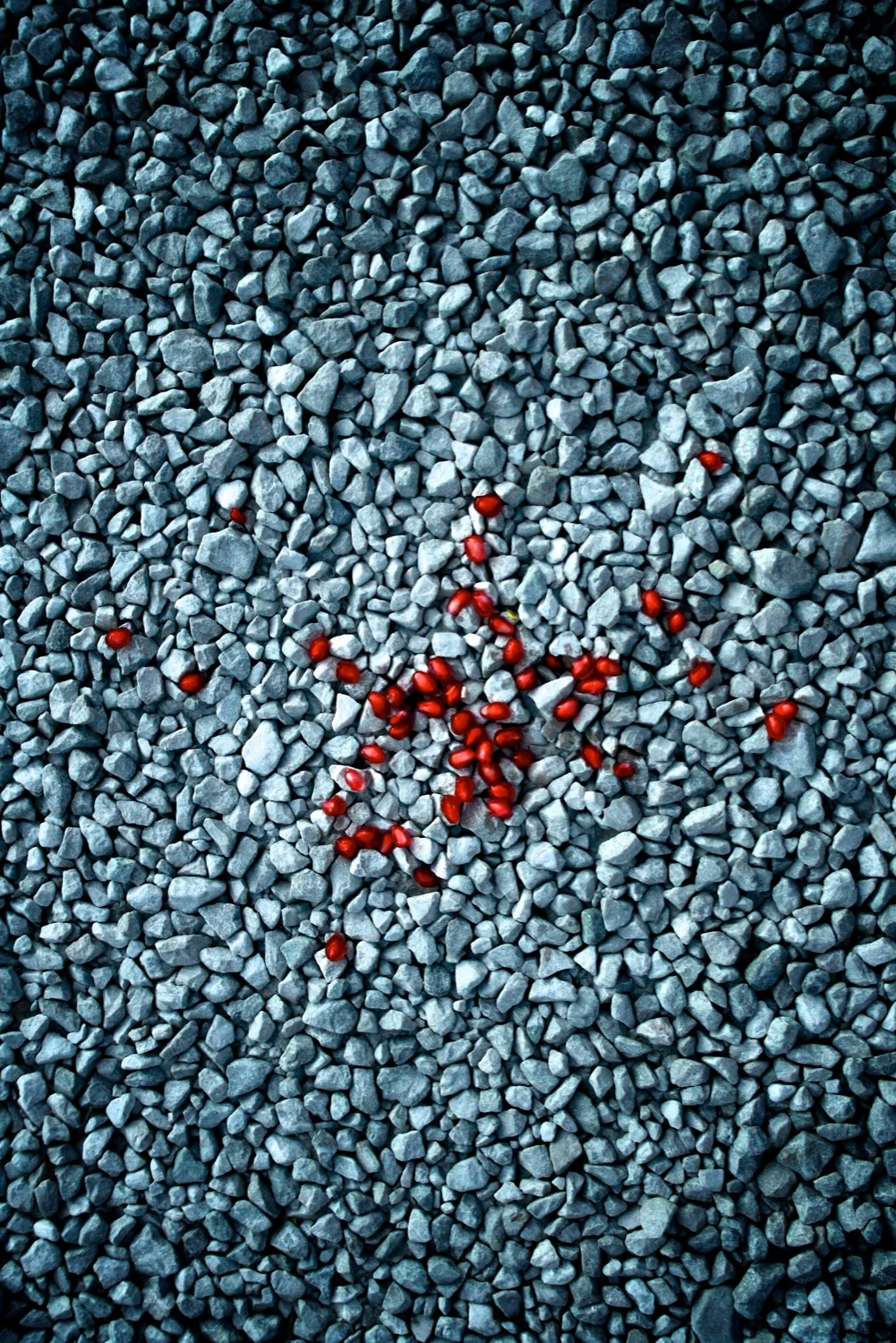 Small red point.jpg