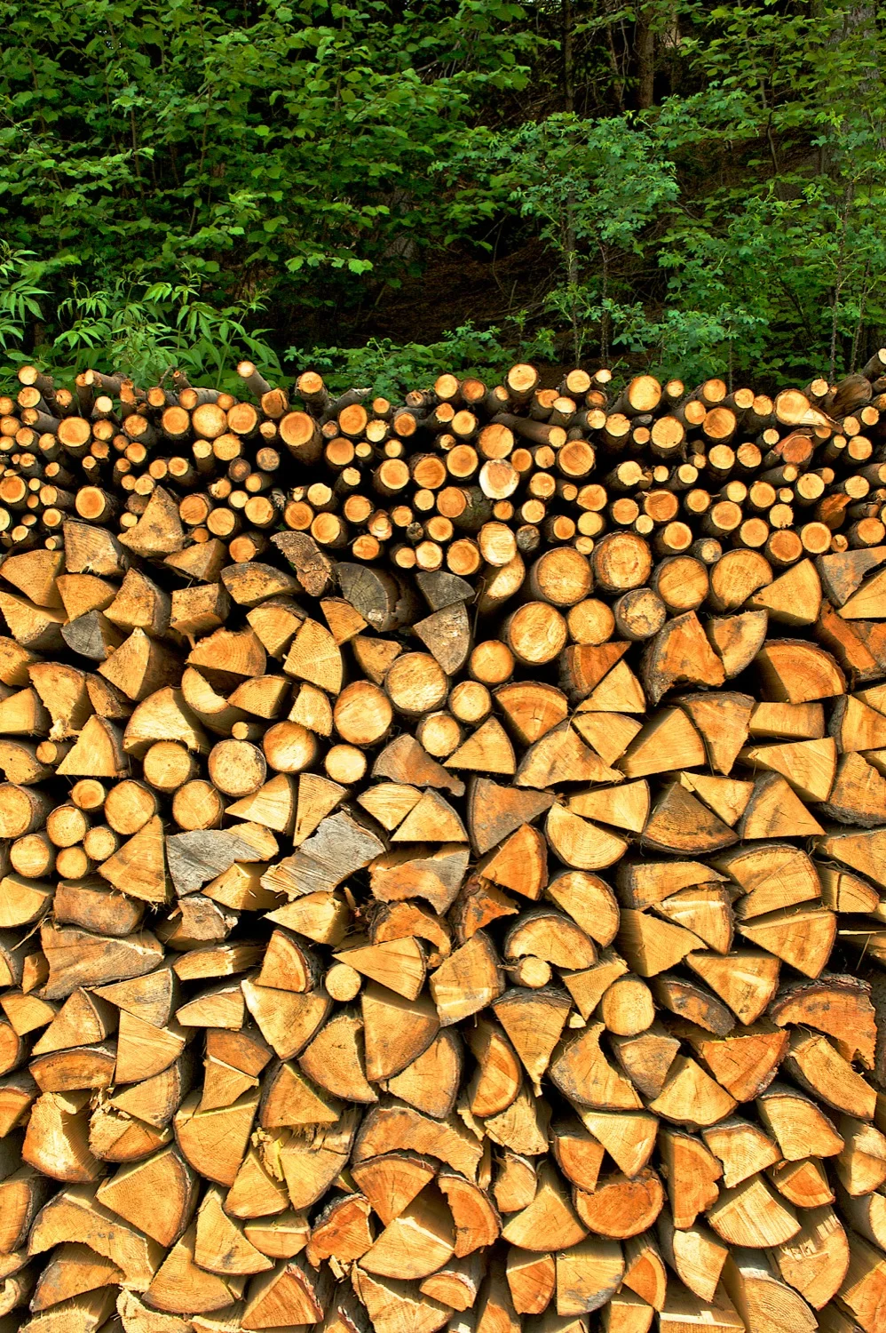 Wood wall.jpg