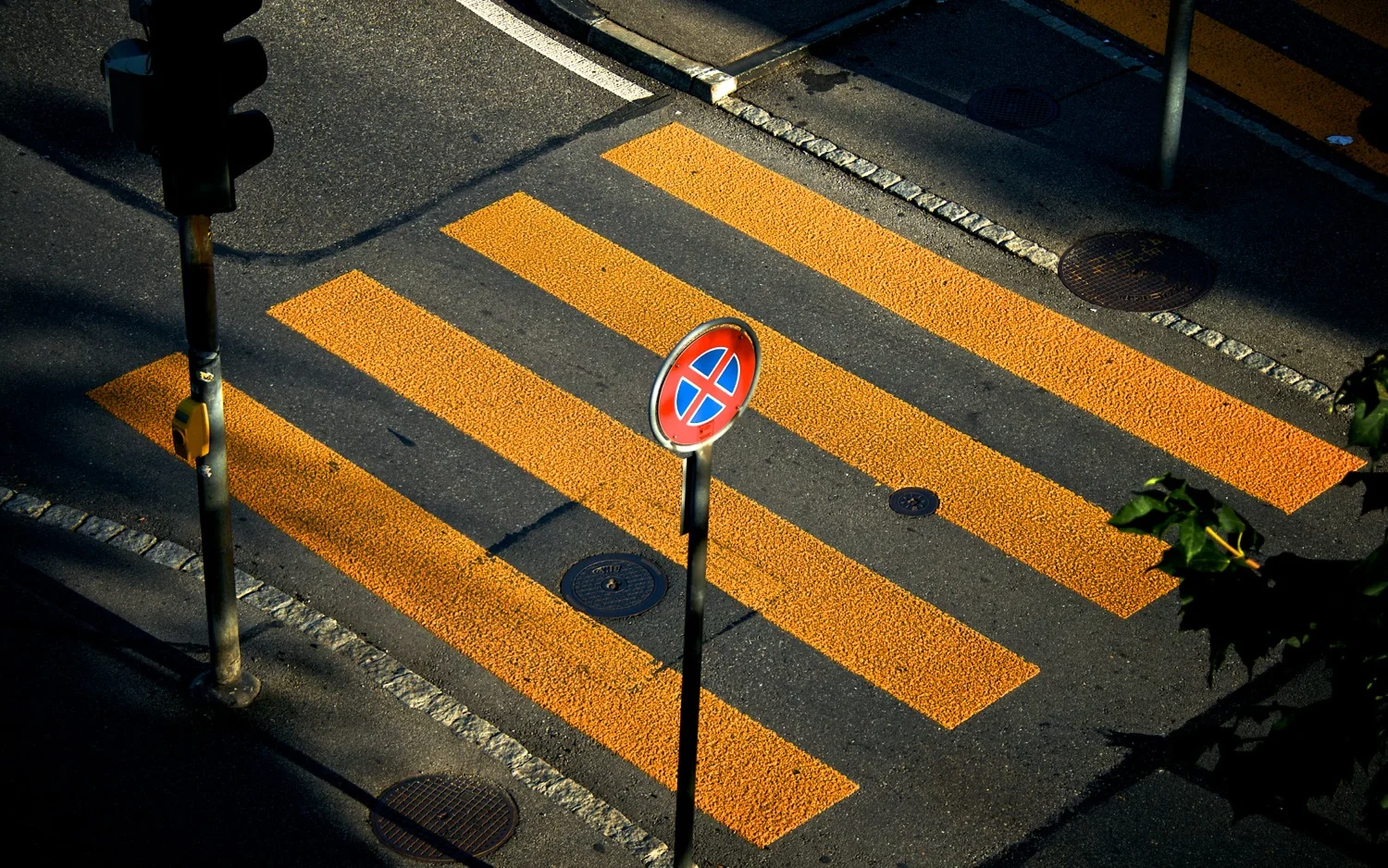 Yellow stripes.jpg