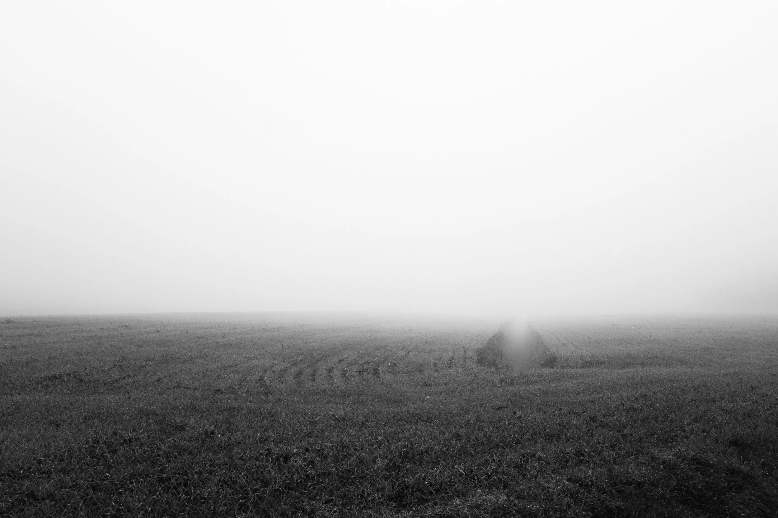 Fog