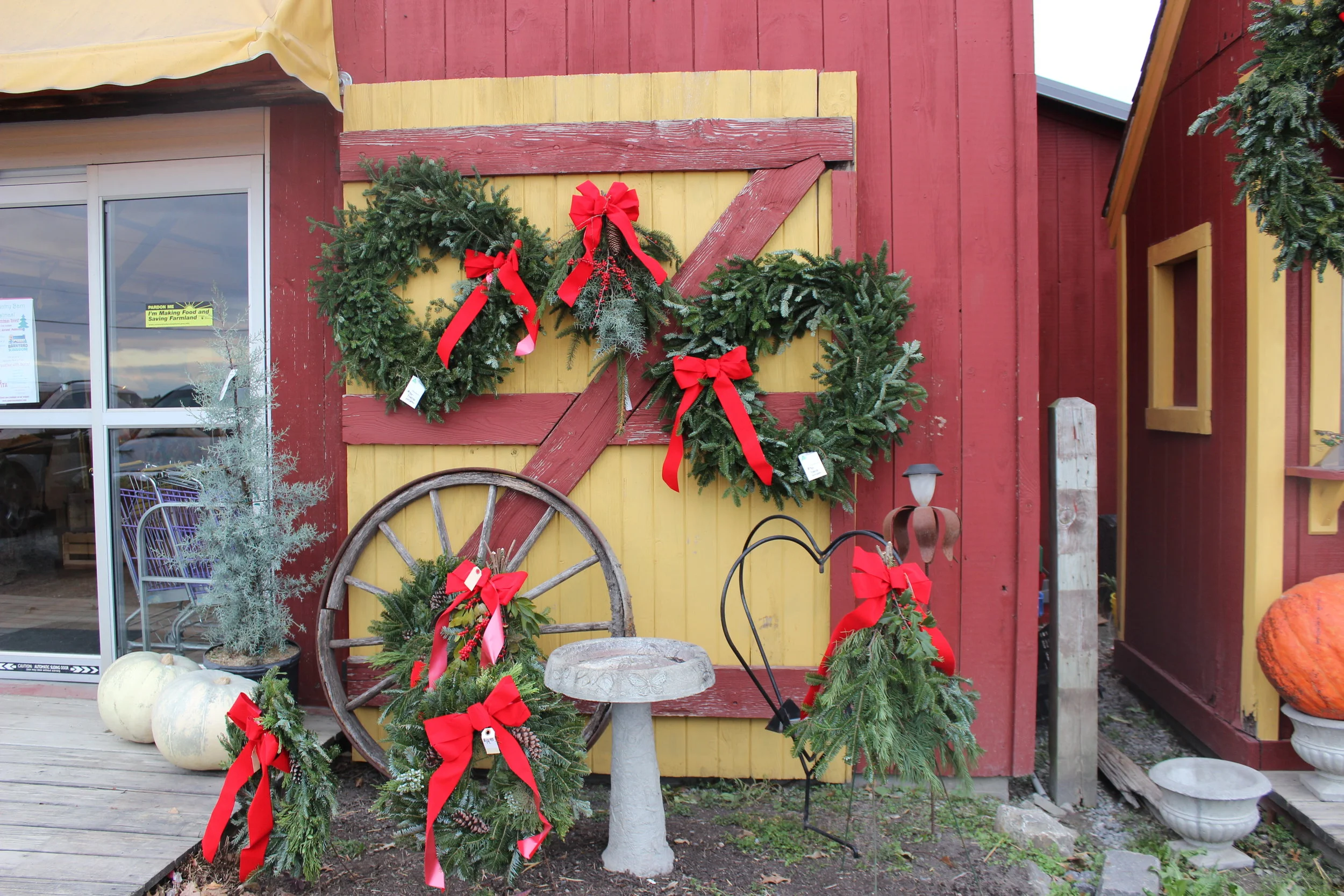 Christmas Trees — Country Barn