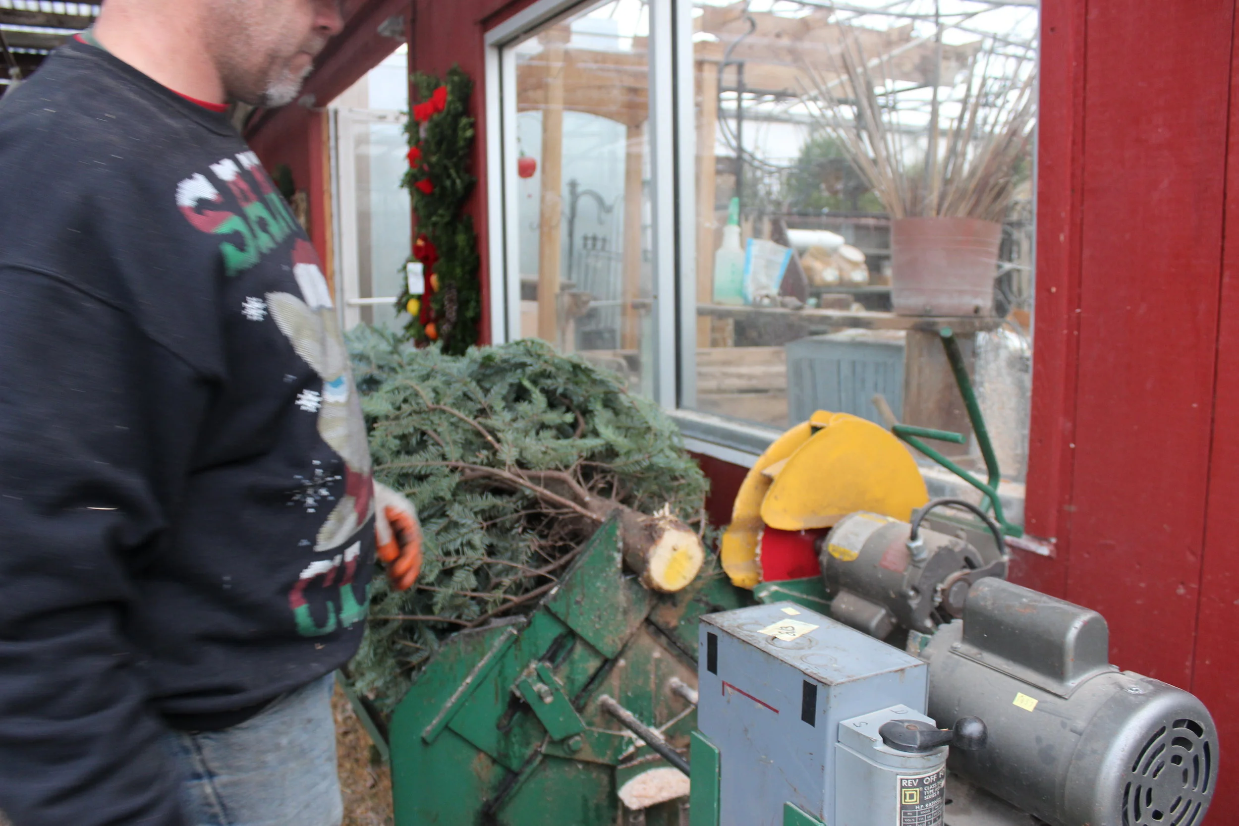Christmas Trees — Country Barn