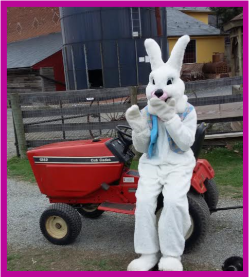 bunny tractor.png