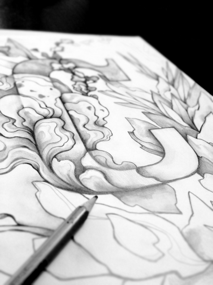 C_drawing_ZSO.jpg