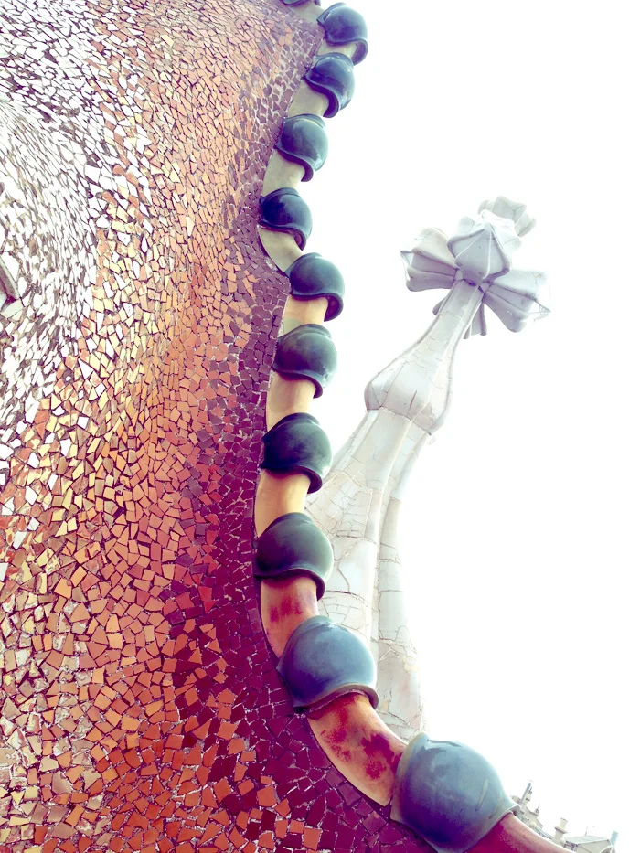 Casa Batlló dragon roof.