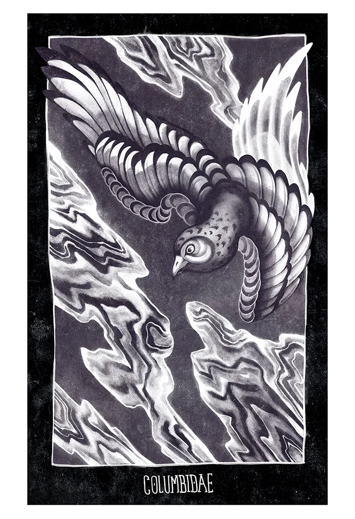 Pigeon_print_700.jpg