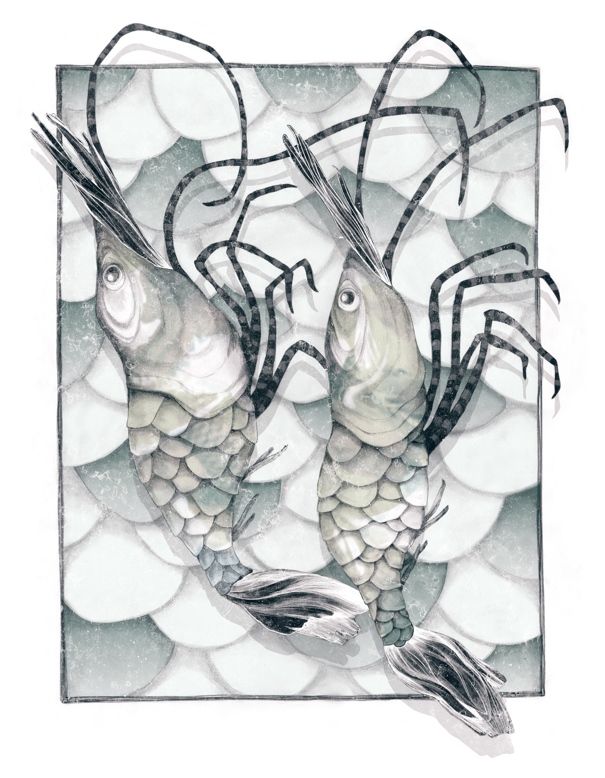 HofR_Shrimp_web3.jpg