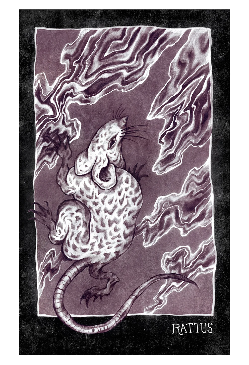 Rat_print.jpg
