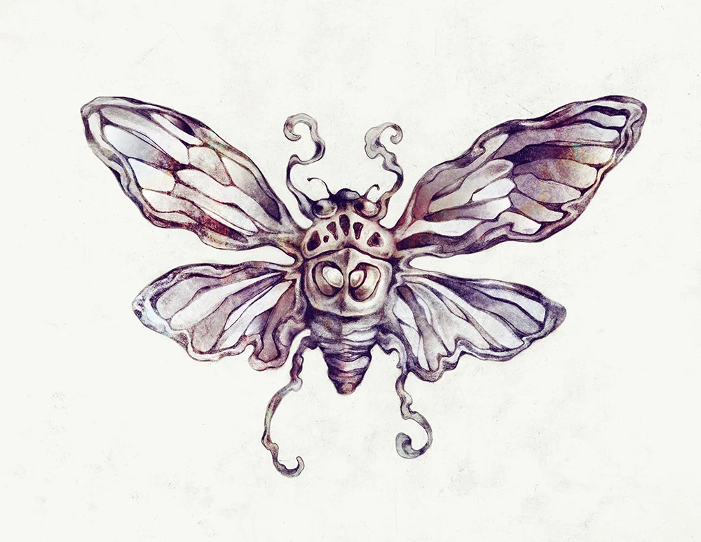 Cicada_02.jpg