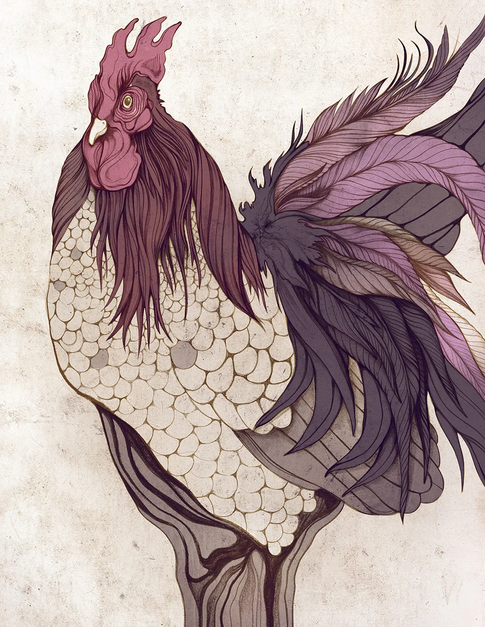 PurpRooster_ZSO.jpg