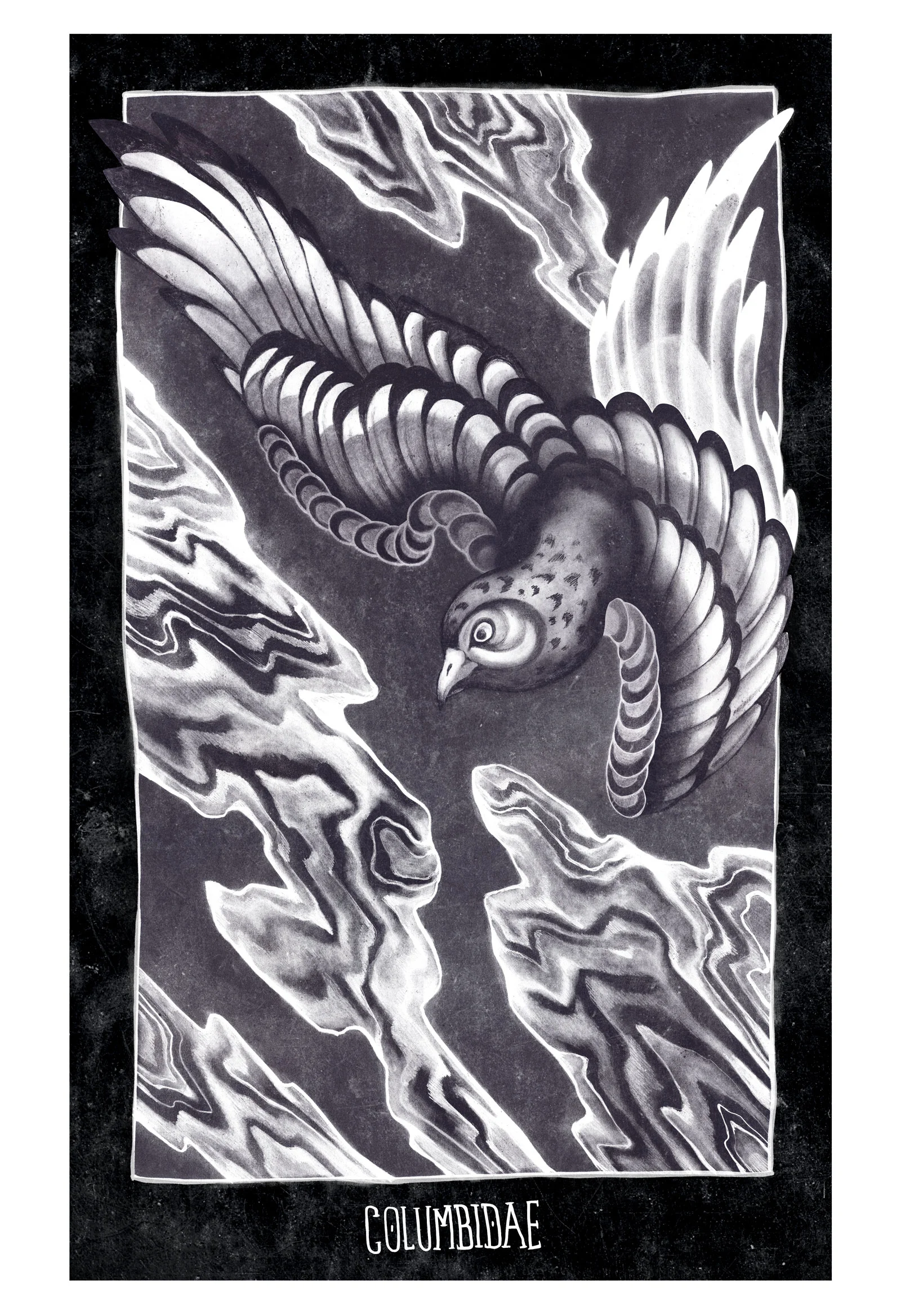 Pigeon_print.jpg