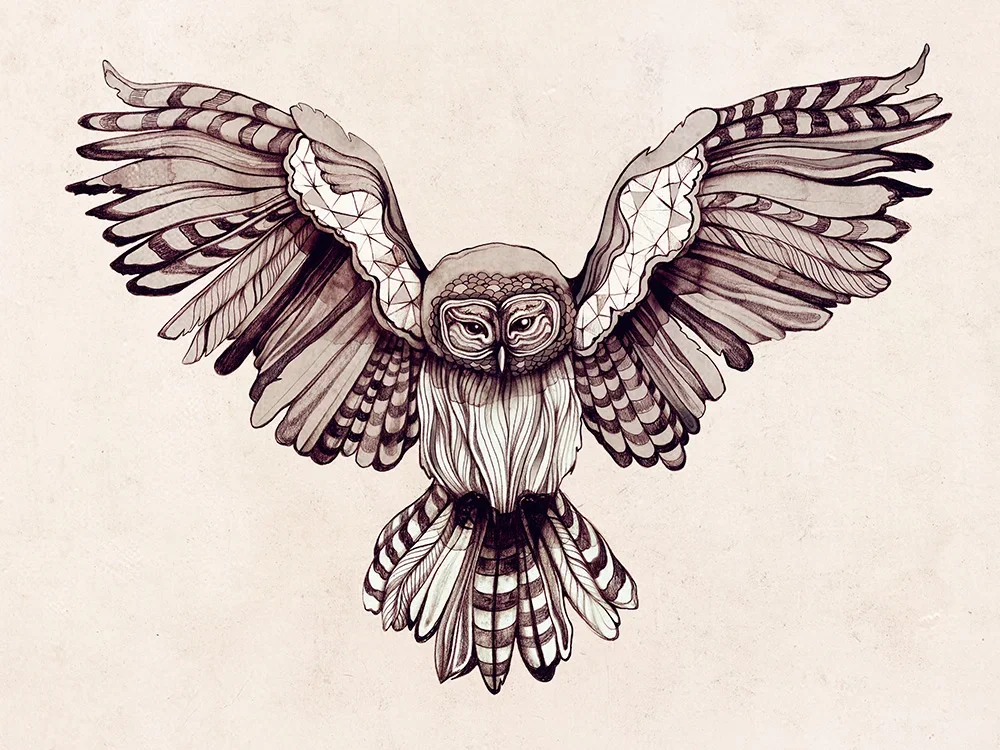 OWL_ZSO.webp