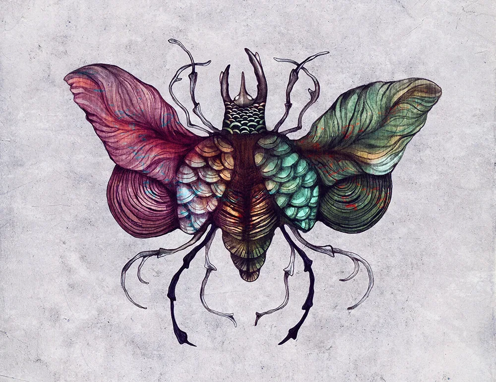 ZSO_BEETLE.webp