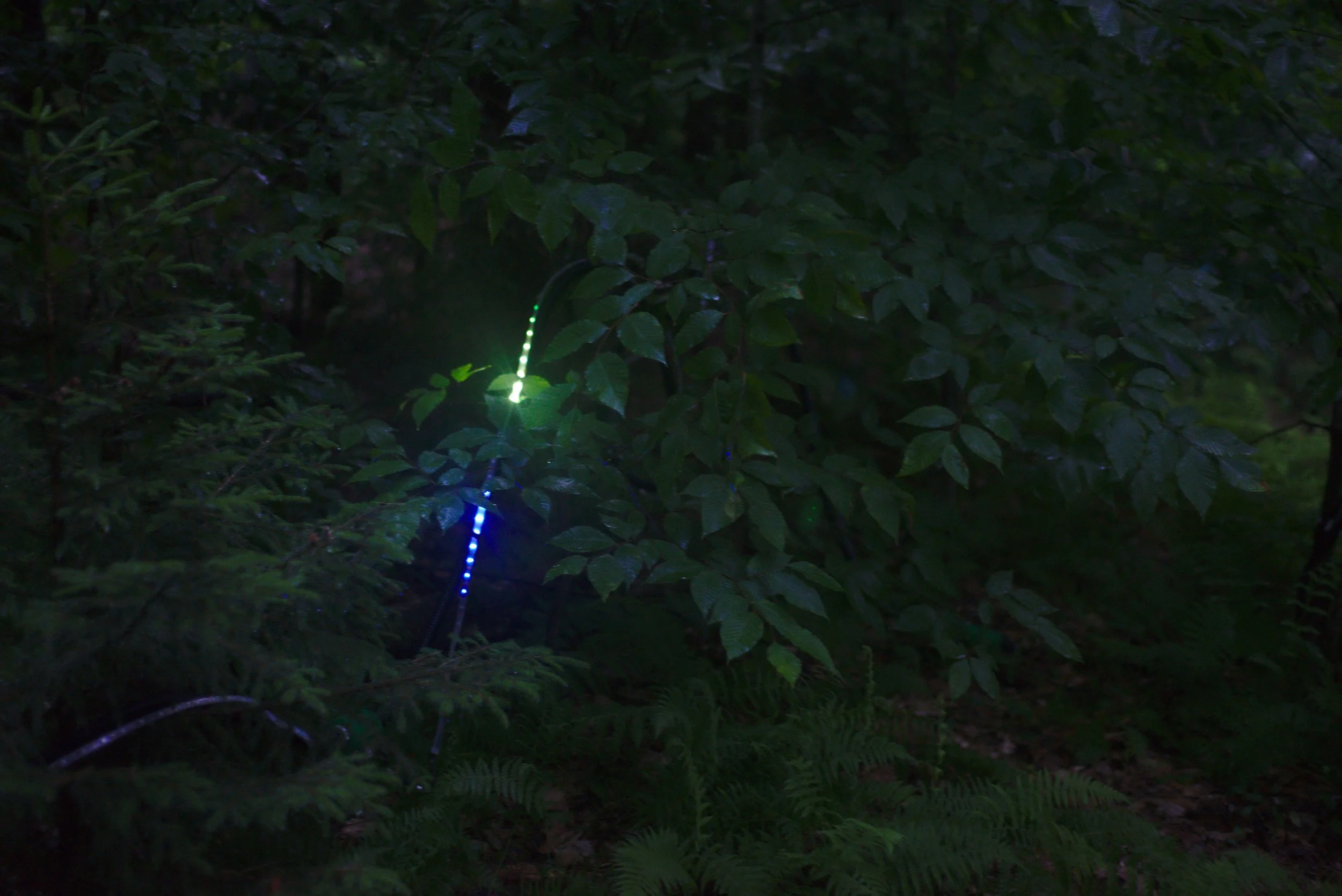 The lights race along their paths in both directions, leaving fading trails of different colors on their way.