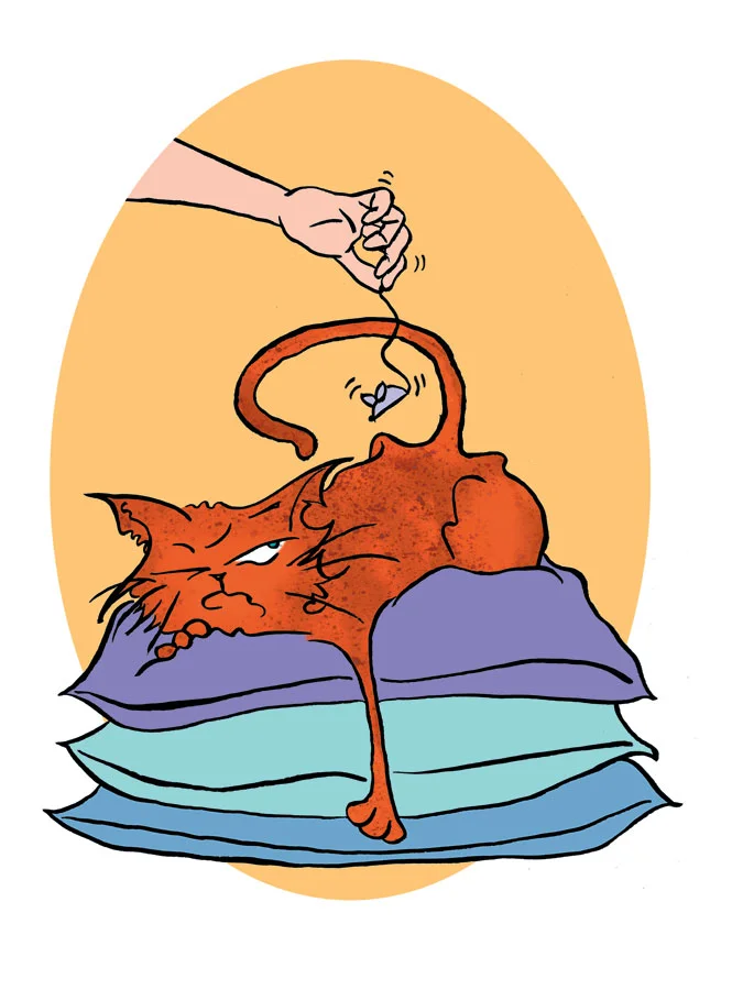 Pen & Ink + Digital Cat Illustration
