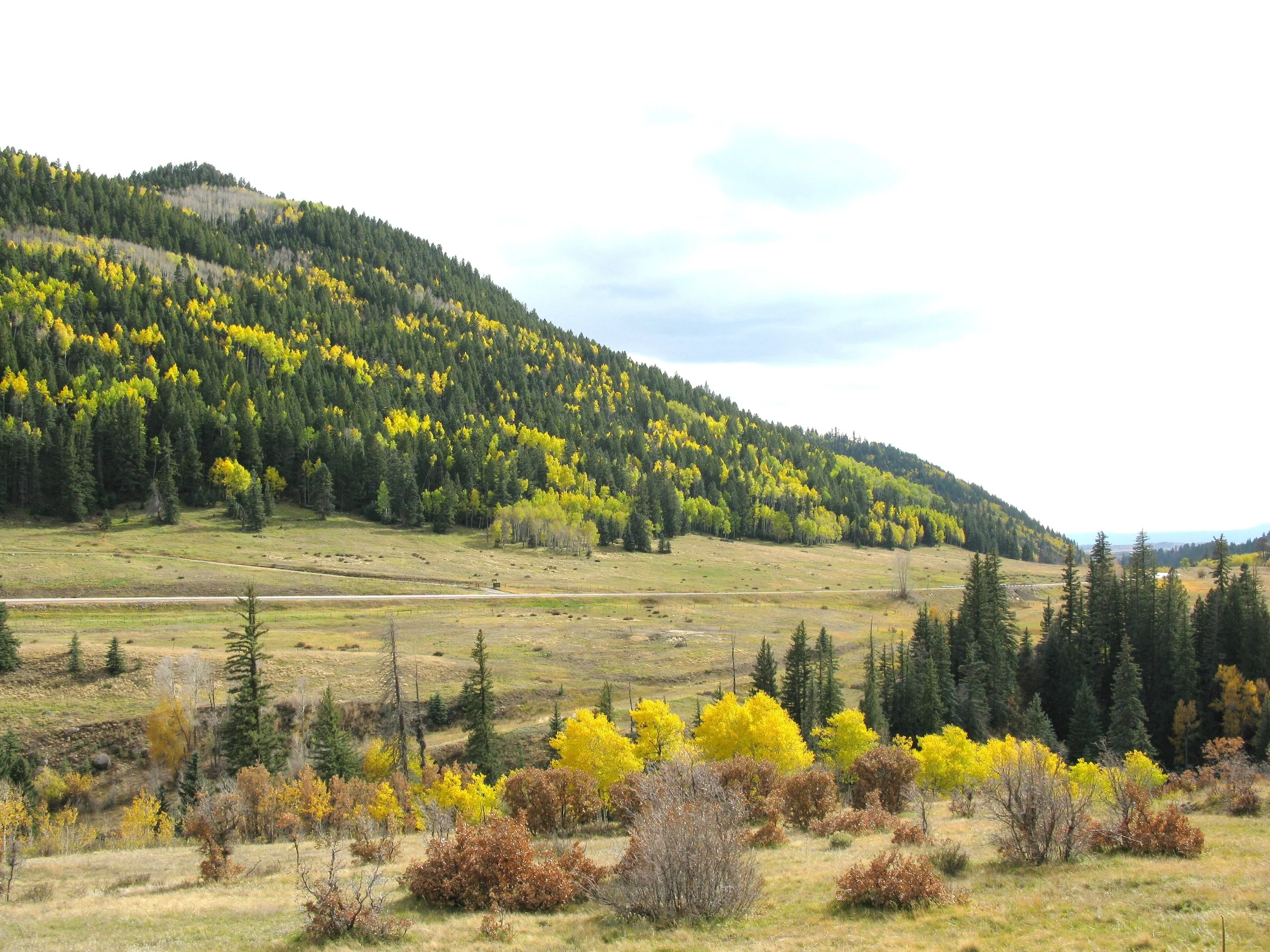 New Mexico National Tour ---83 pictures 039.jpg