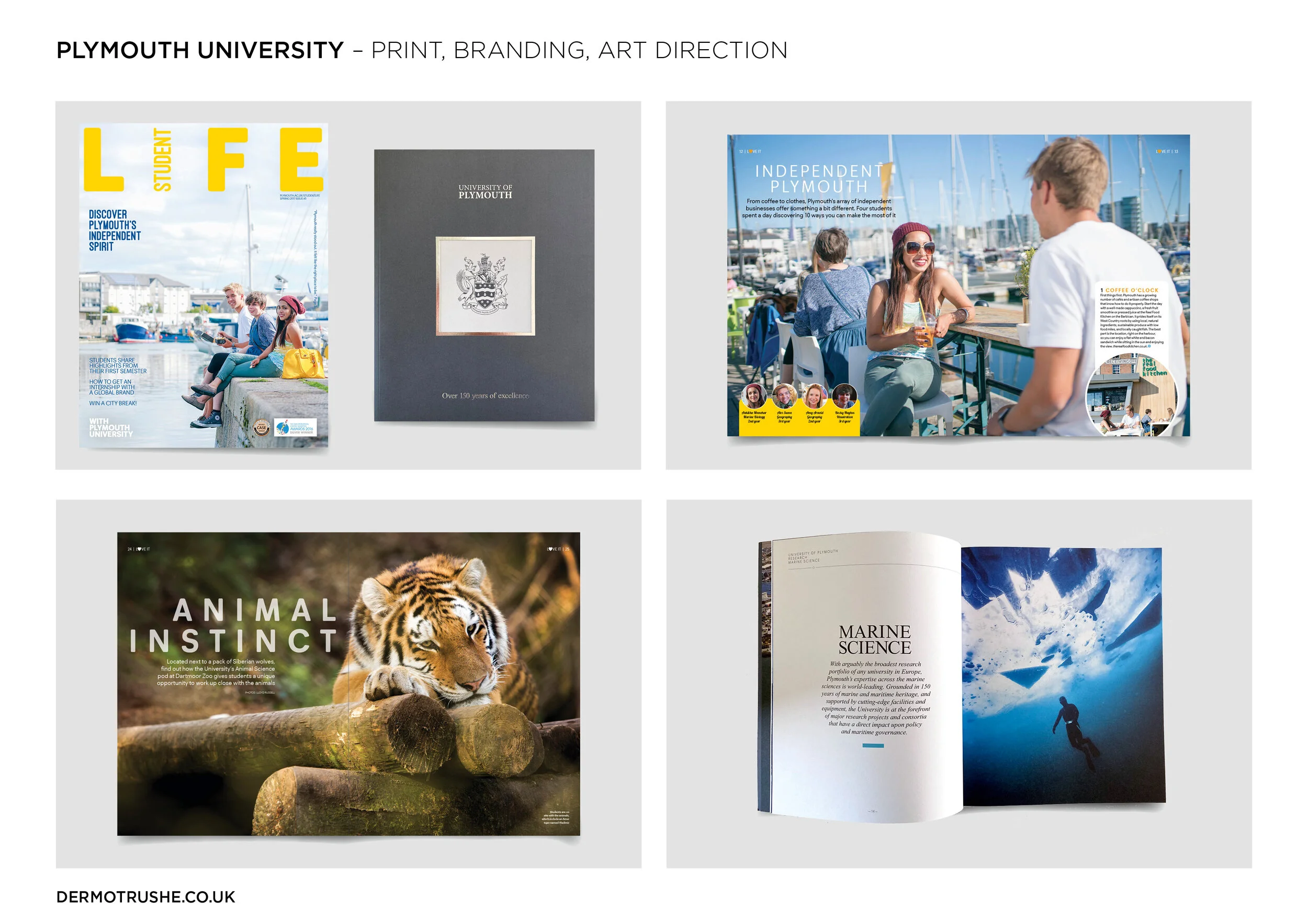 Portfolio_DRushe21.jpg