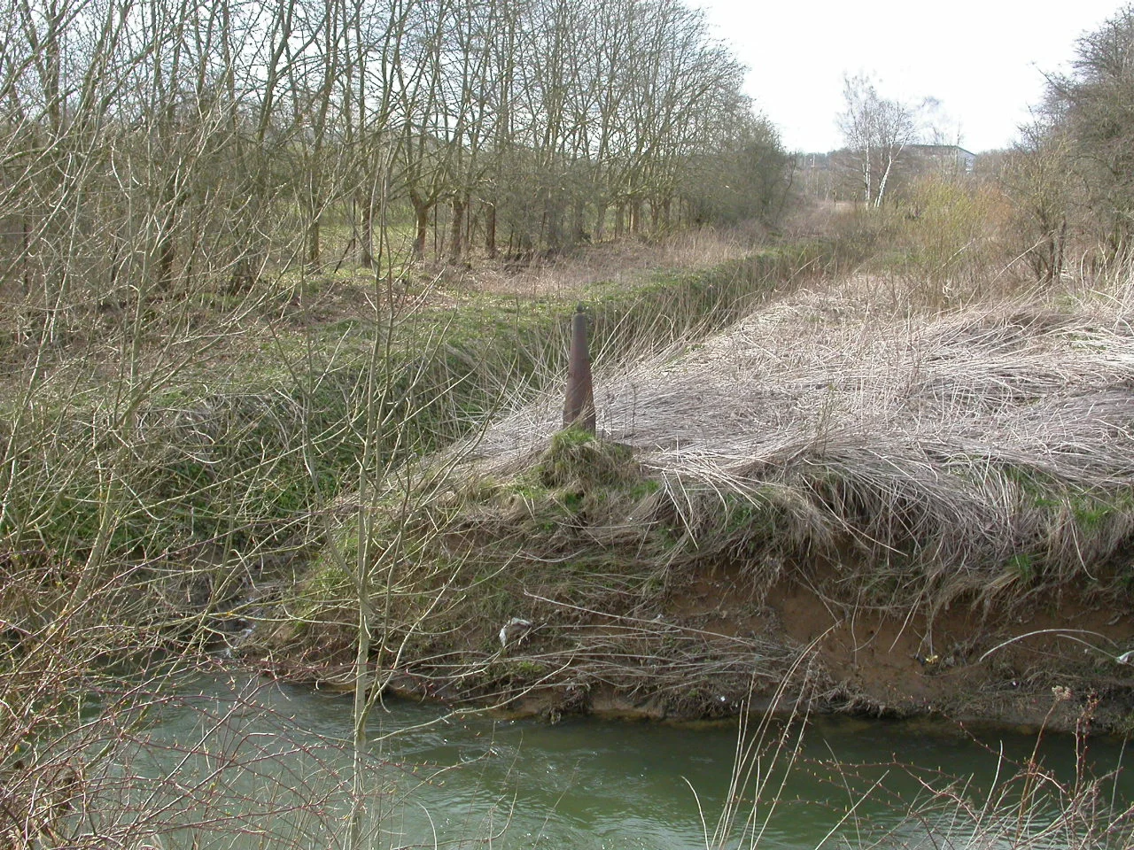 DSCN4497.JPG