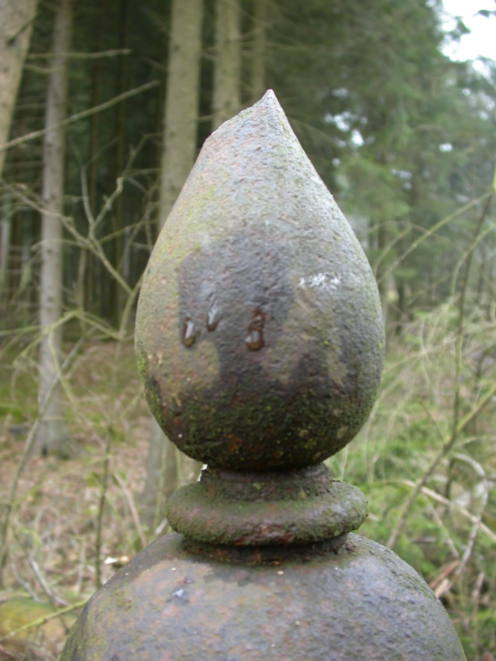 DSCN4649.JPG
