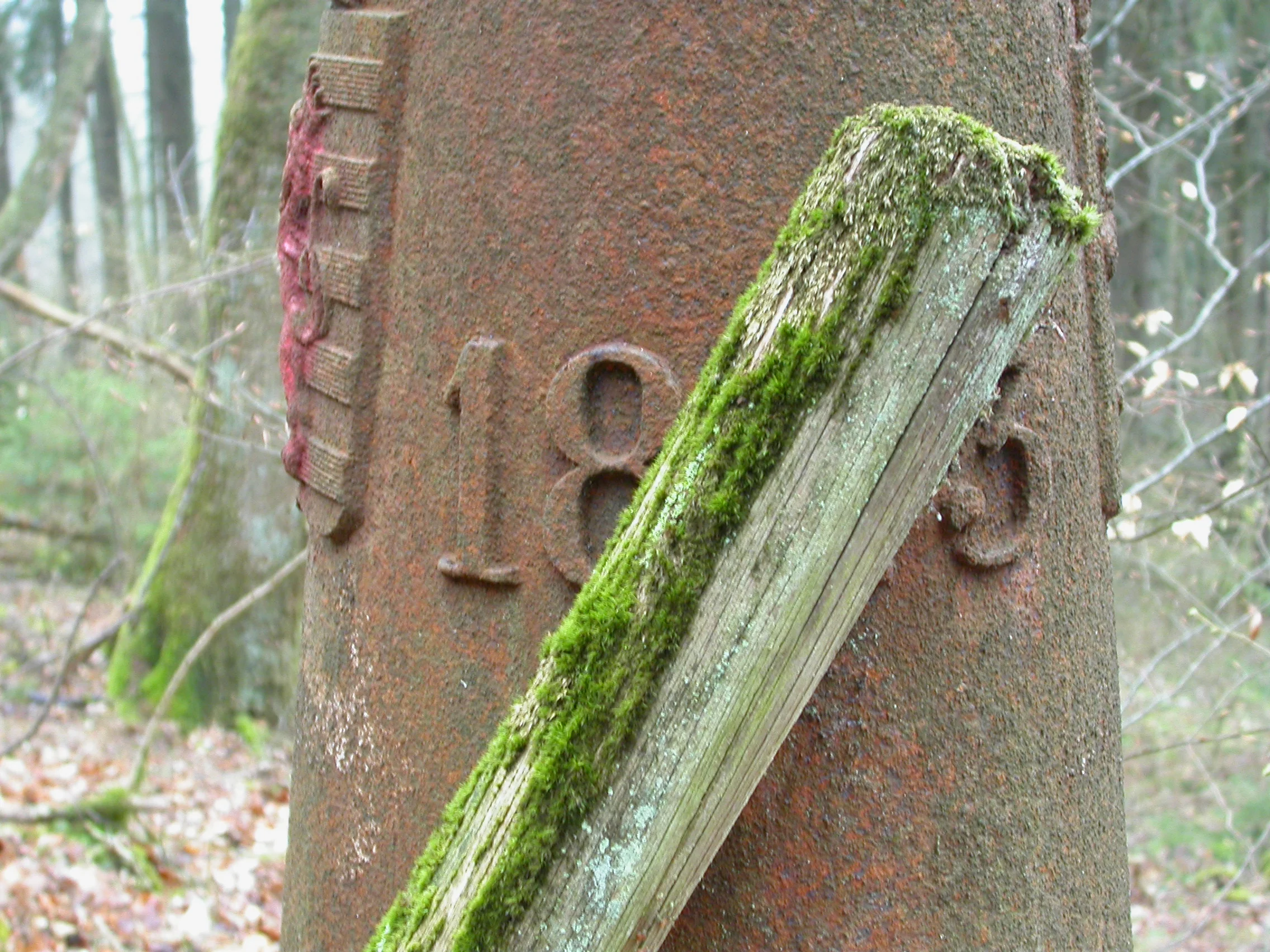DSCN4748.JPG