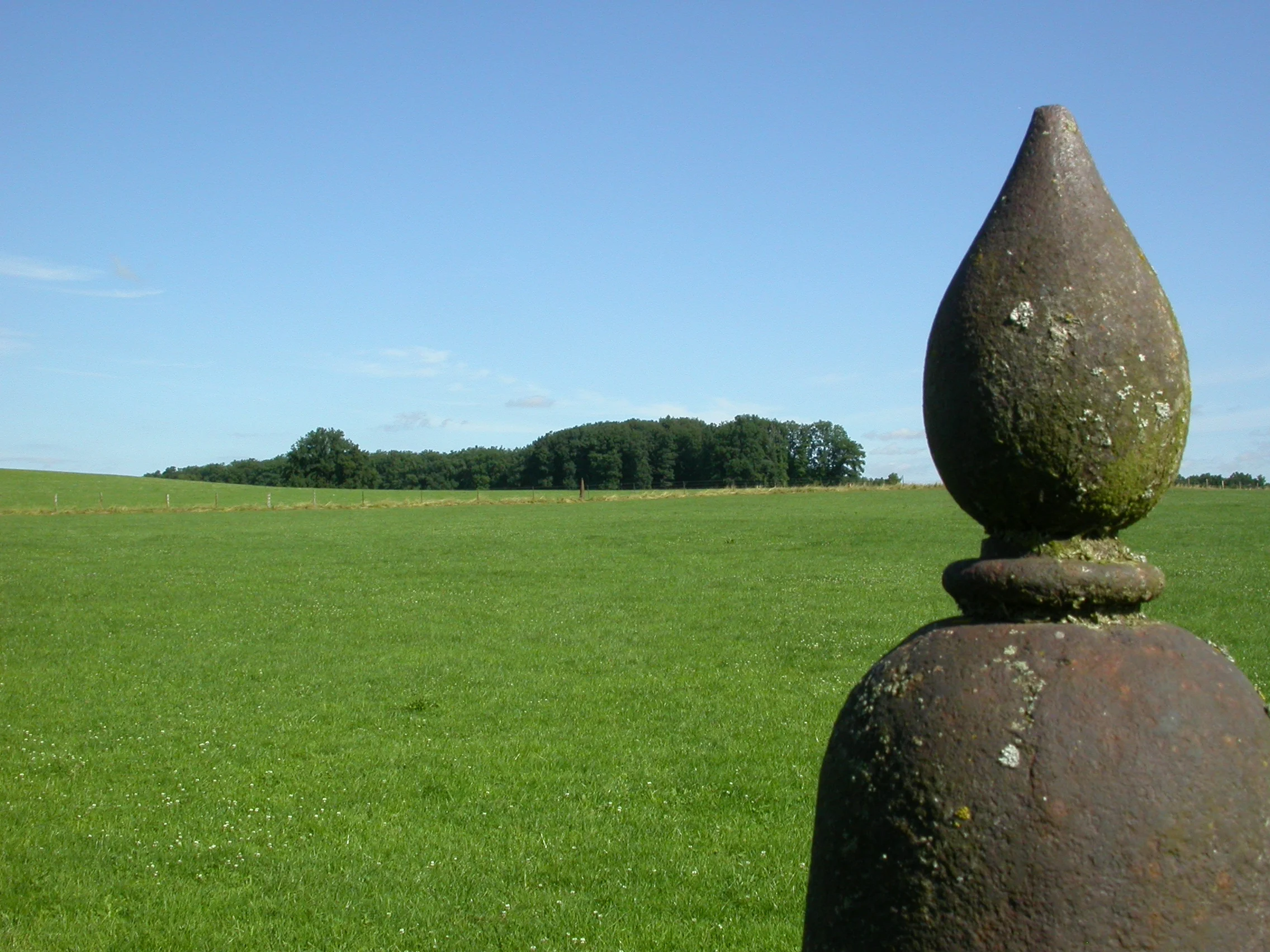 DSCN5450.JPG