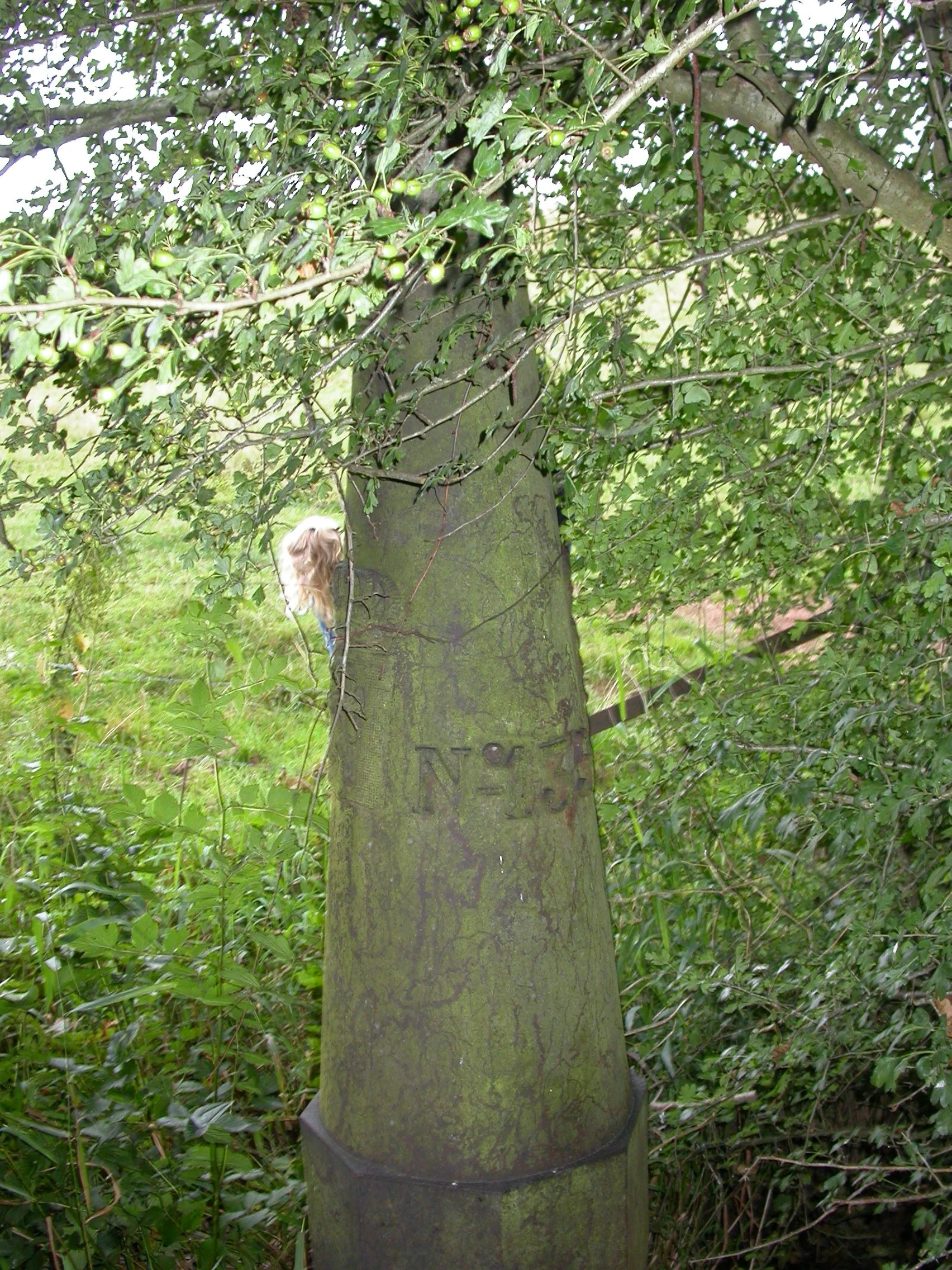 DSCN5511.JPG