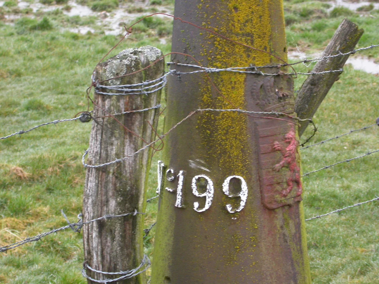 LB 199 detail.JPG