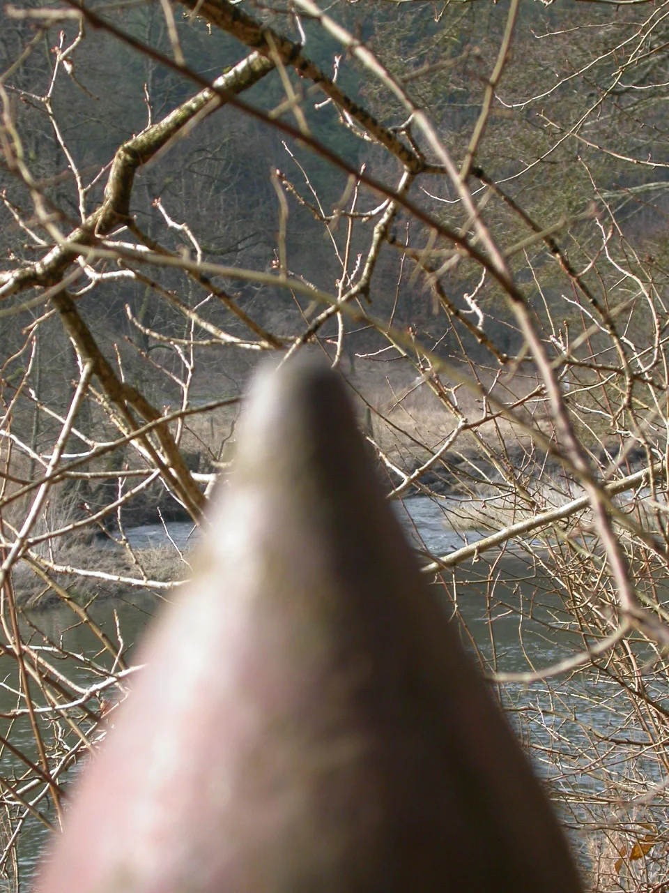vue de LB 173 vers LB 174.JPG