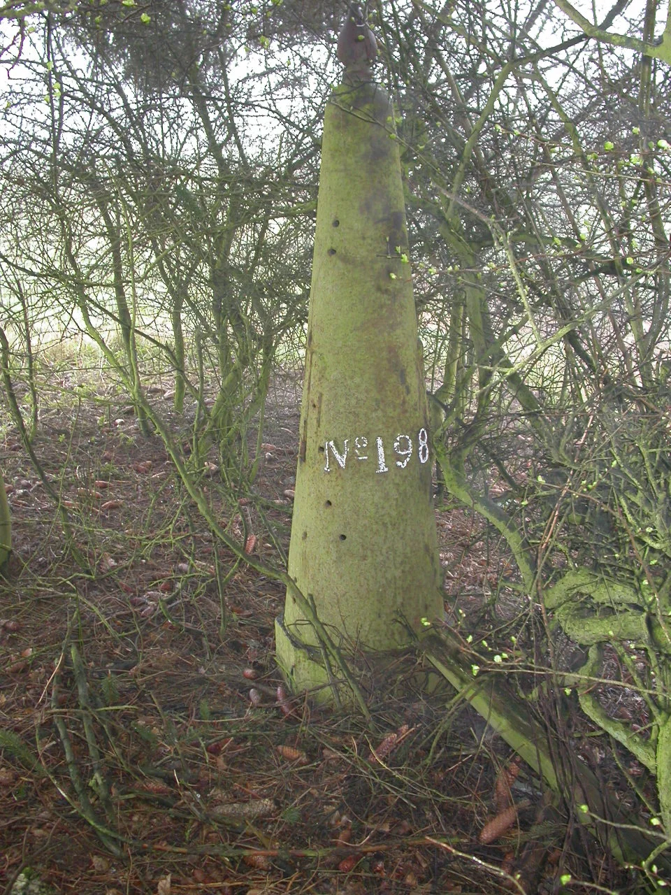 DSCN4297.JPG