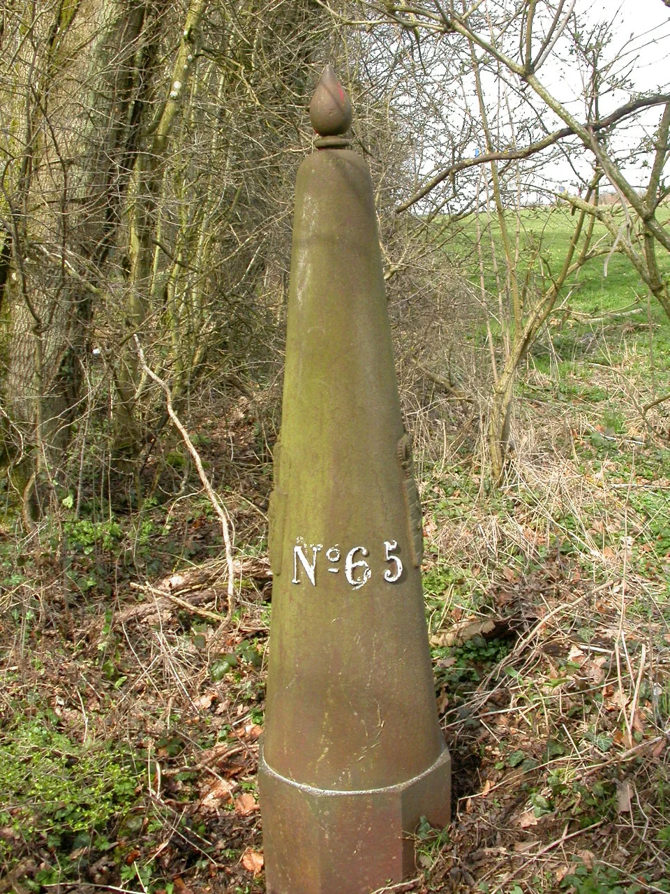 DSCN4484.JPG