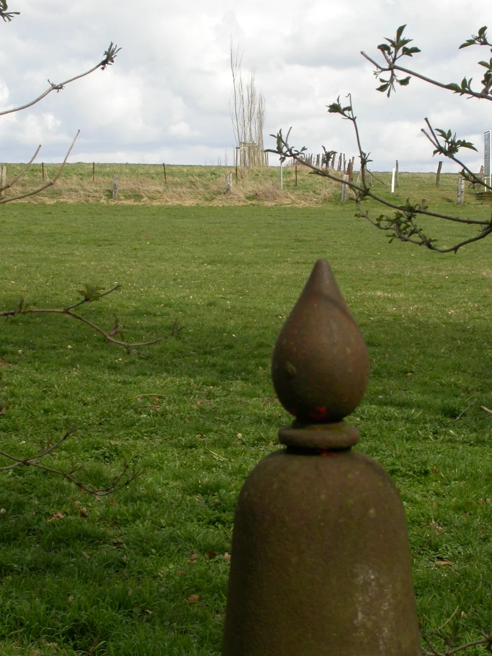 DSCN4485.JPG