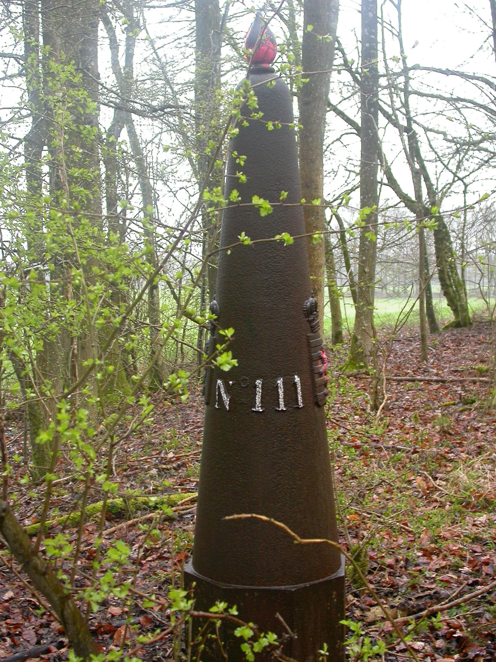 DSCN4577.JPG