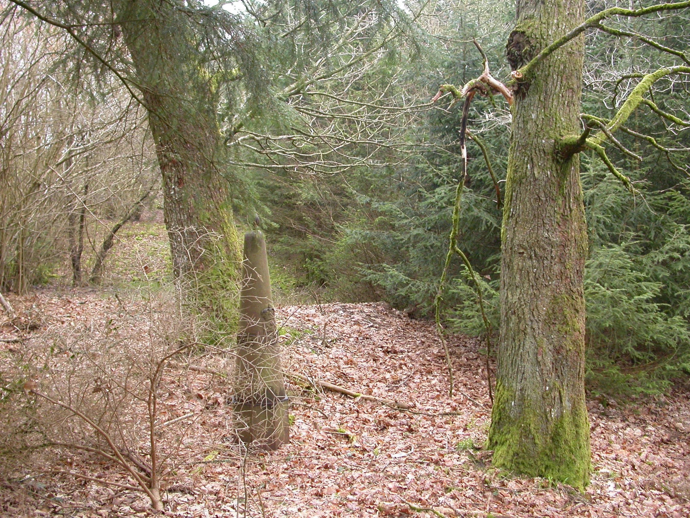 DSCN4666.JPG