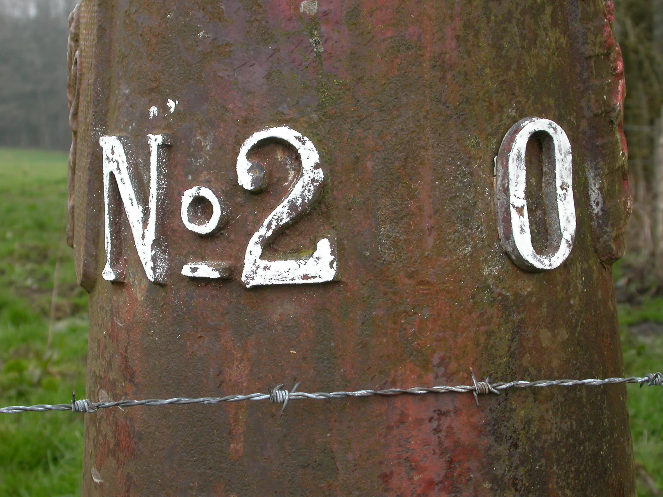 DSCN4684.JPG