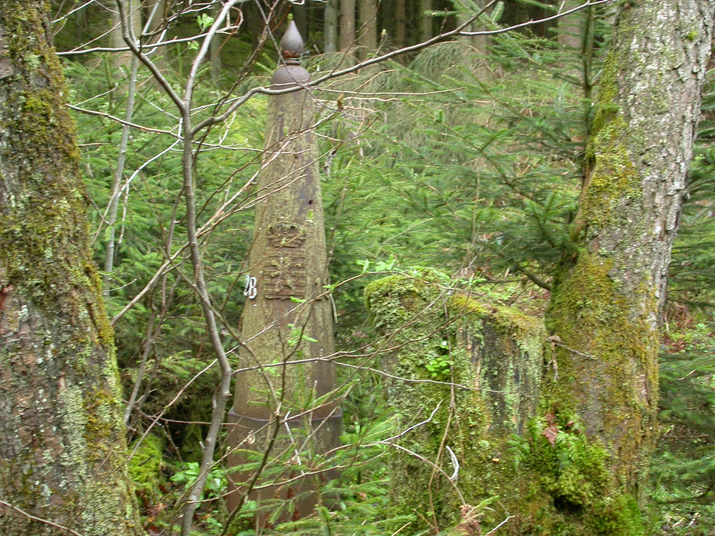 DSCN4829.JPG