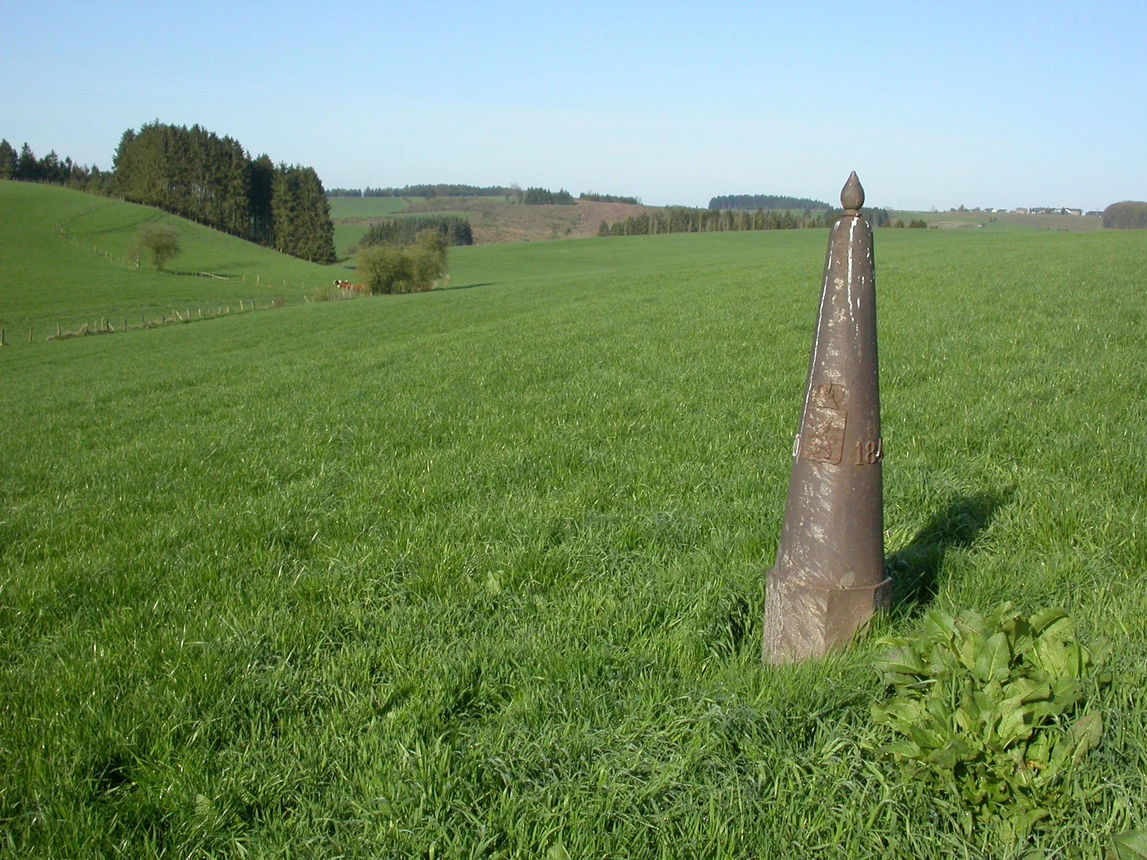 DSCN4951.JPG