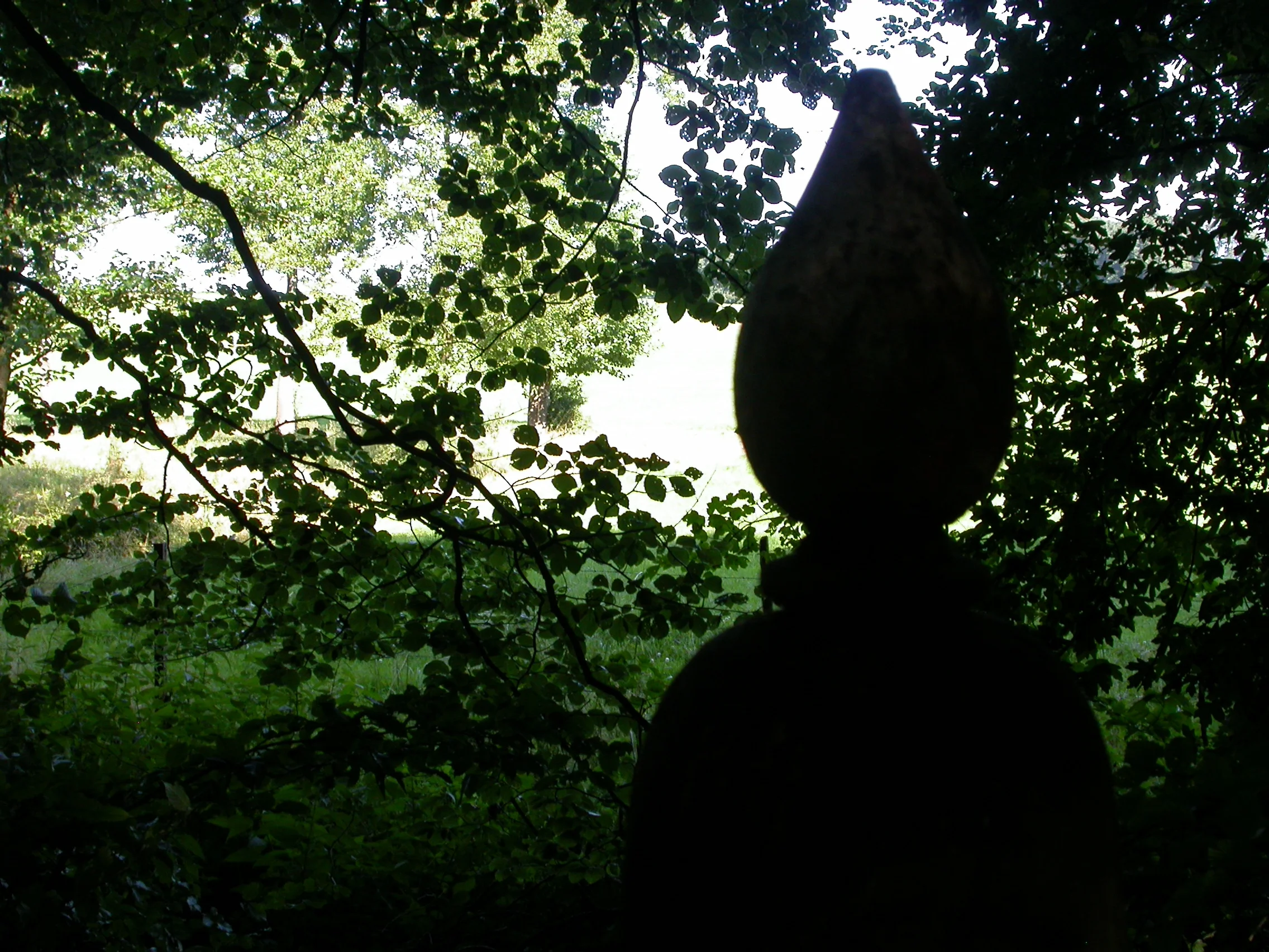 DSCN5459.JPG