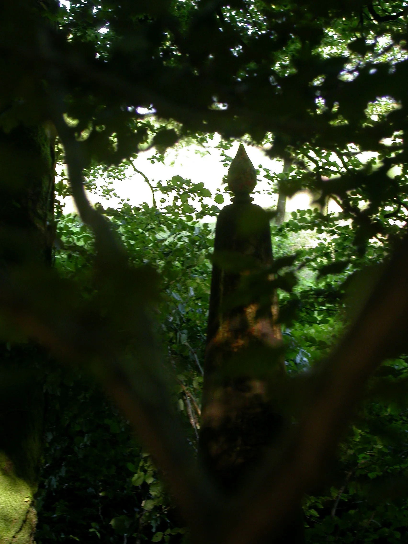 DSCN5463.JPG